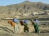 Survey Says Afghanistan, Pakistan Among 'Most Dangerous' Countries For Women
