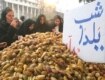از اسباب و لوازم لازم برای شب چره های شب يلدا، يکی همين آجيل شب يلداست