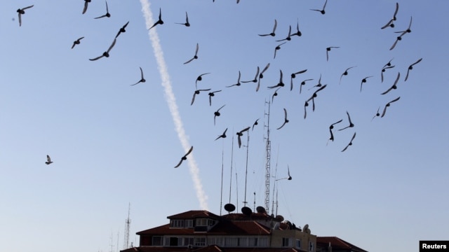 Birds fly as a trail of smoke is seen after the launch of a rocket from Gaza toward Israel on November 15.