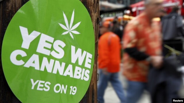 California voters failed to pass Proposition 19, a measure to legalize marijuana in the state, in 2010.