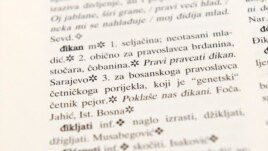 Iz školskog rječnika bosanskog jezika autora Dževada Jahića, foto: Midhat Poturović