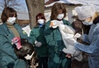 Birds at Moscow's zoo were vaccinated against bird flu nearly a year ago (file photo) (epa)