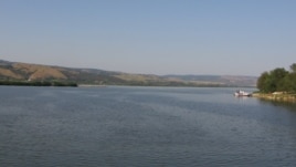 Dunav