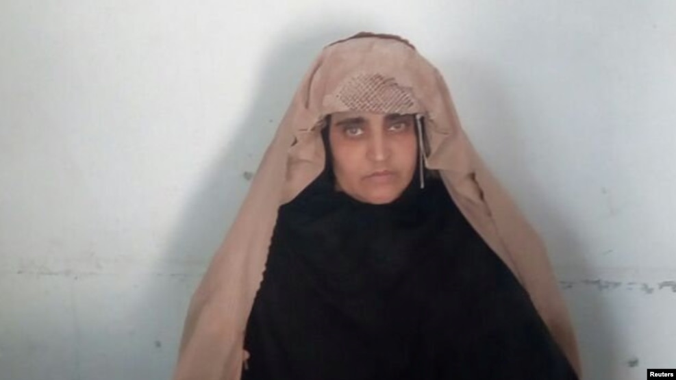 Sharbat Gula