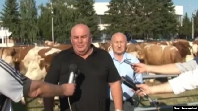 Dragan Marković Palma u TV prilogu o junicama