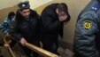 Лейтенант полиции Денис Иванов (в центре), обвиняемый в избиении 15-летнего подростка. 24 января 2012 года
