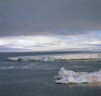 Scientists are hoping local people in the Arctic can monitor bear populations