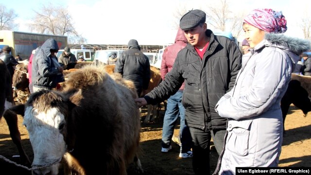 Скотный рынок в Кыргызстане