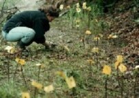 An investigator marks bullet shells at the site of a suspected mass grave in northeast Bosnia in 1996
