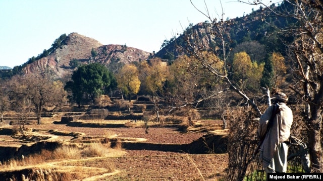 A tribal elder looks out over fields in the Tirah Valley, which sits astride NATO's supply line to Afghanistan.