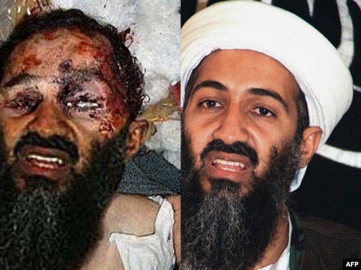 fake osama bin laden death. Fake Osama Bin Laden Death