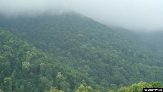Armenia -- Teghut forest in Lori province.