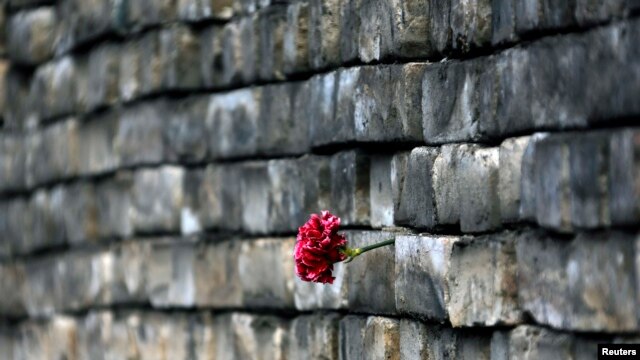 EA1BCCDE-698B-44D5-8968-F2BB846A4EB7_w64