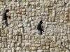 U.S. Awaits Israel Response On Housing