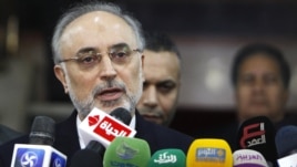 Iranian Foreign Minister Ali Akbar Salehi (file photo)