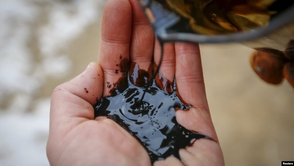 Мұнай өндіруші компания жұмысшысы алақанына мұнай құйып тұр. Қызылорда облысы, 22 қаңтар 2016 жыл.