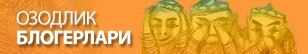 Uzbekistan -- Blogs banner, 2009 