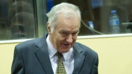 Ratko Mladic attends his trial in The Hague on May 16.