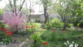 Larisa Kozynaya hopes guests appreciate her garden in Dnipropetrovsk.