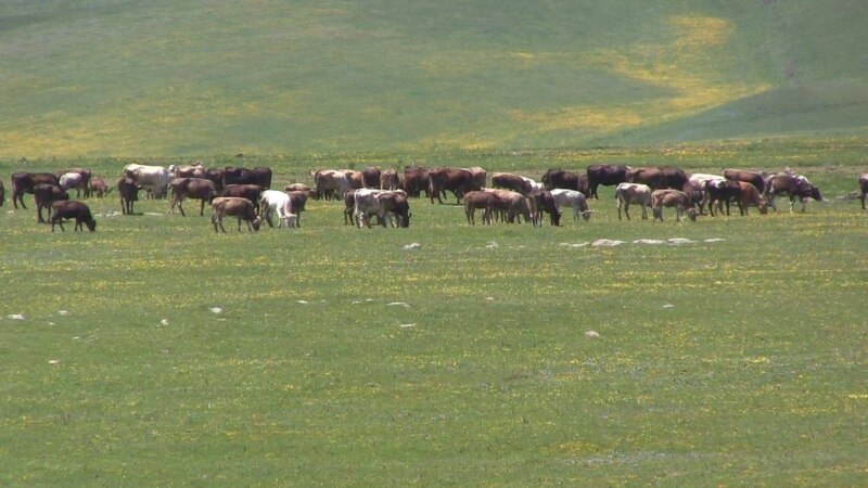  ������� ���������� ������ ���������� ���� ������ ��������� ���������� 