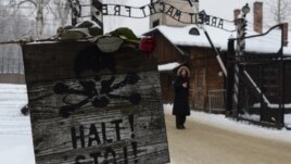 F3FD69E3-8DF5-4860-92D9-033EC2784F93_w26