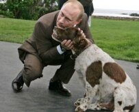 Even the dogs had a good time (ITAR-TASS)