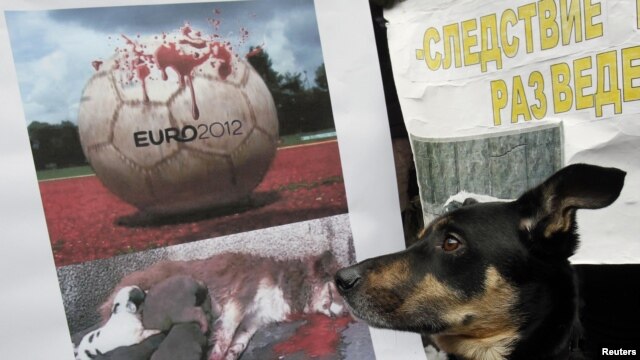Activists call for a program of sterilization and humane euthanasia, as practiced in other countries.