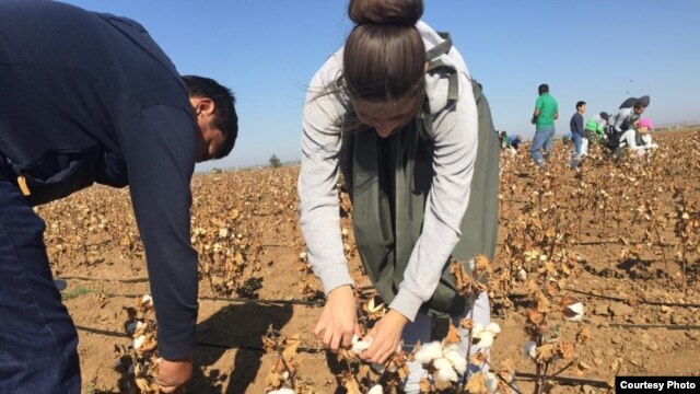 The government in Tashkent uses one of the world’s largest state-sponsored systems of forced labor to harvest Uzbek cotton.