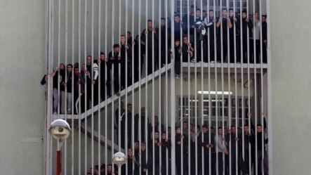 После широкомасштабной амнистии новые власти Грузии разработали программу по ресоциализации и реабилитации бывших заключенных