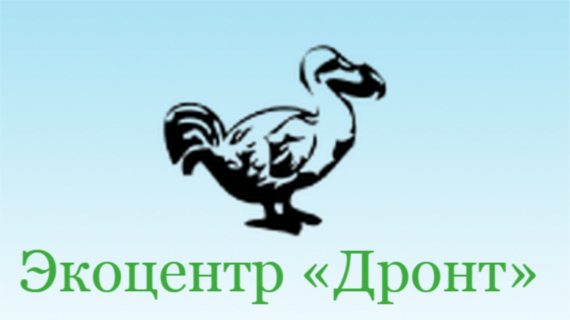 Объявленный иностранным агентом экоцентр "Дронт" прекратил работу