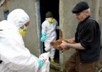 Turkish officials cull poultry in an effort to halt an outbreak of bird flu in early January (file photo) (epa)