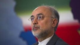 Iran's Foreign Minister Ali Akbar Salehi (file photo)