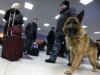 Tajik Border Guards Dogged By Animal Neglect Allegations