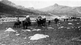 1904-1914-cü illər arasında «təqribən 10 min» qırğız dağların üstündən keçərək şərqə köç edib.