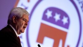 Former Speaker of the House Newt Gingrich