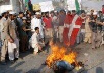 Pakistani protestors burn a Danish flag on 2 February. (epa)