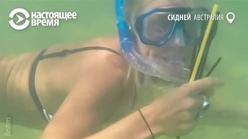 �������� ��������� � ������