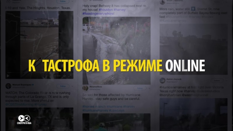  ���������� ������ ������ ����� �������� �������� 