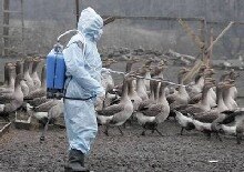 Ukraine -- The Ukrainian veterinary disinfects a farm as bird flu preventive measures in Orlovka village near the east Ukrainian city of Donetsk on Wednesday. 7 Dec 2005