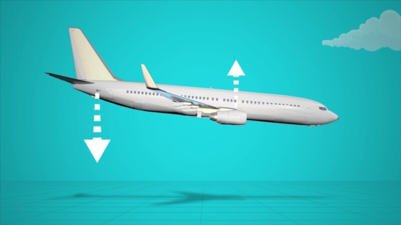  �������� ����� ��������� ��������� 