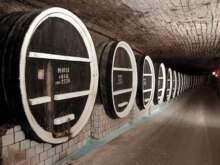 Moldova -- The vintage wine collection in Milestii Mici wine cellar, 14Mar2007