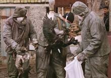 Ukraine -- State Of Emergency Declared In Crimean Following Bird-Flu Outbreak, 4 Dec. 2005