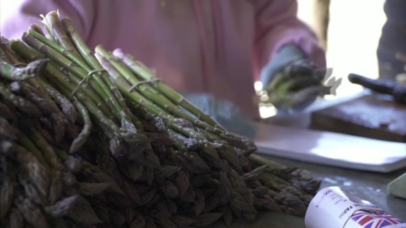  ������ ����������� ��������� �������� ������� ������������ 