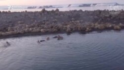 Мұздықтардың еруінен Ресейде жаңа бес арал пайда болды