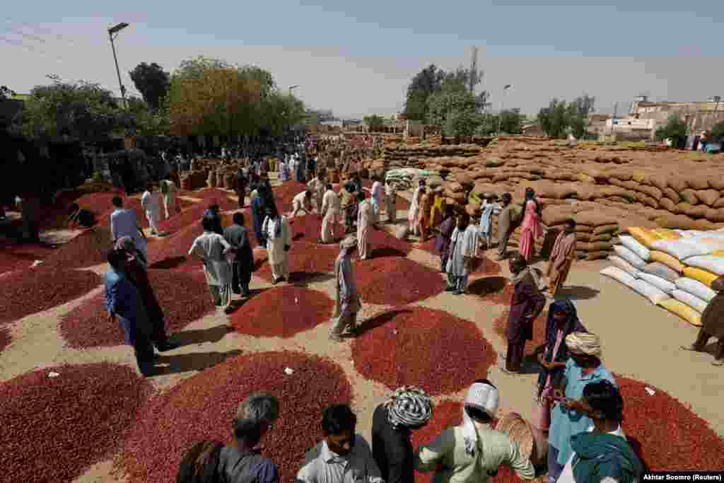 A chili market in Kunri in February A local man told Reuters that since the floods, less than a quarter the amount of chili is now being sold in Kunri&rsquo;s wholesale market compared to last year.