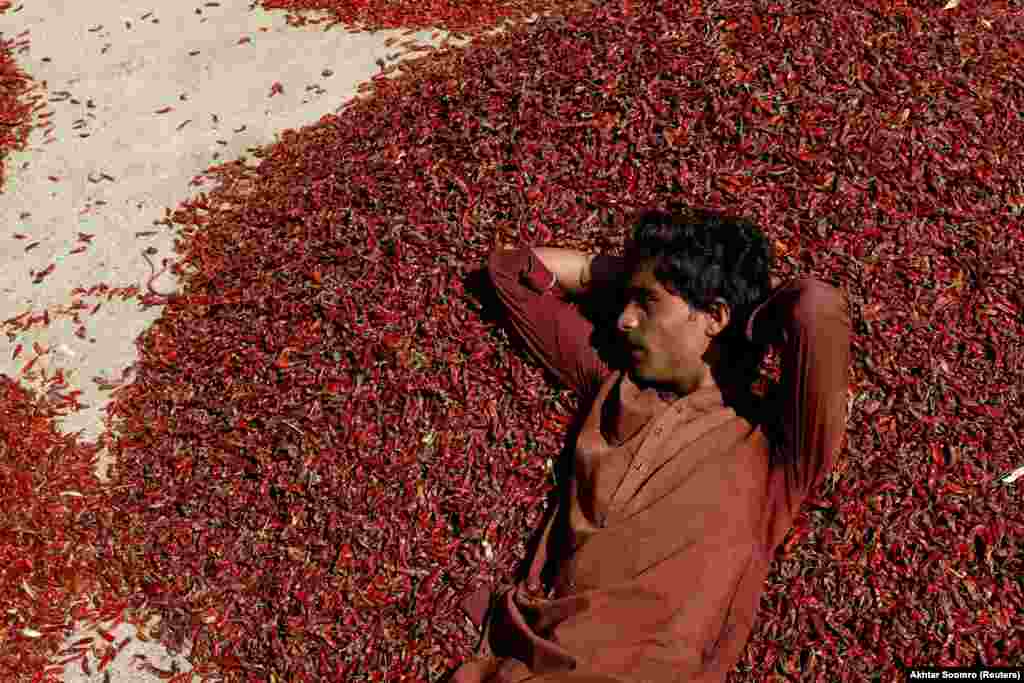 A worker rests on a pile of chilies at a wholesale market in Kunri on October 15. Kunri, in Pakistan&rsquo;s southern Sindh Province, has been dubbed the &quot;chili capital&quot; of Asia but recent floods have left farmers struggling to keep their businesses alive.