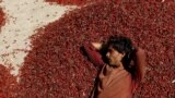 A worker rests on a pile of chilies at a wholesale market in Kunri on October 15.<br />
<br />
Kunri, in Pakistan&rsquo;s southern Sindh Province, has been dubbed the &quot;chili capital&quot; of Asia but recent floods have left farmers struggling to keep their businesses alive.