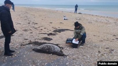 Тюменьдегі секс онлайн Эротикалық фигуралар саябағы