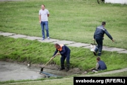 Камунальнікі чысьцяць стаў ад водарасьцяў