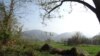 Parcul Național Cheile Nerei-Beușnița, considerată o comoară naturală, necesită actualizarea datelor științifice despre faună, floră, biosistem. Pentru investigații s-au obținut bani europeni din POIM